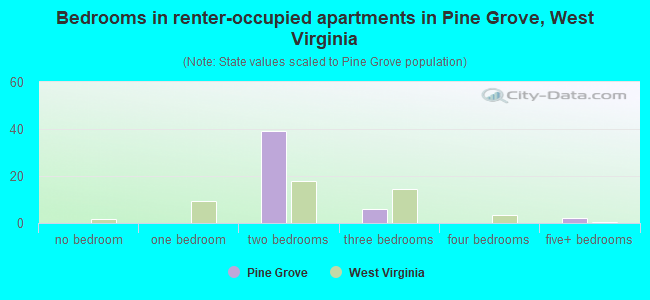 Bedrooms in renter-occupied apartments in Pine Grove, West Virginia