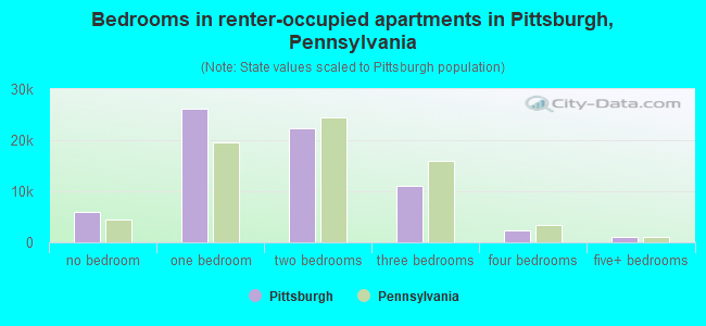 Bedrooms in renter-occupied apartments in Pittsburgh, Pennsylvania