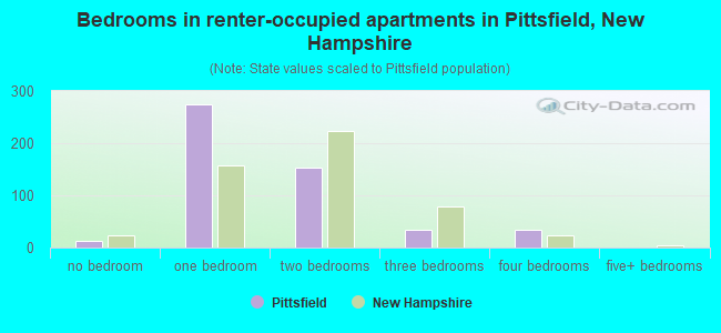 Bedrooms in renter-occupied apartments in Pittsfield, New Hampshire
