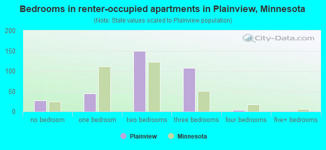 Bedrooms in renter-occupied apartments in Plainview, Minnesota