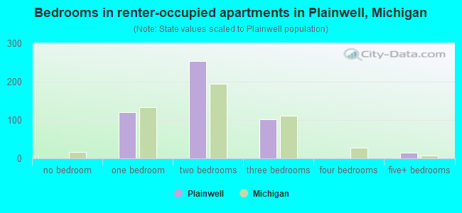 Bedrooms in renter-occupied apartments in Plainwell, Michigan