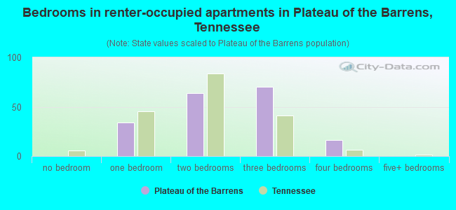 Bedrooms in renter-occupied apartments in Plateau of the Barrens, Tennessee