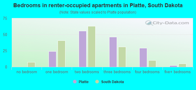 Bedrooms in renter-occupied apartments in Platte, South Dakota