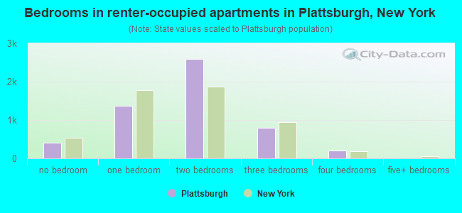 Bedrooms in renter-occupied apartments in Plattsburgh, New York