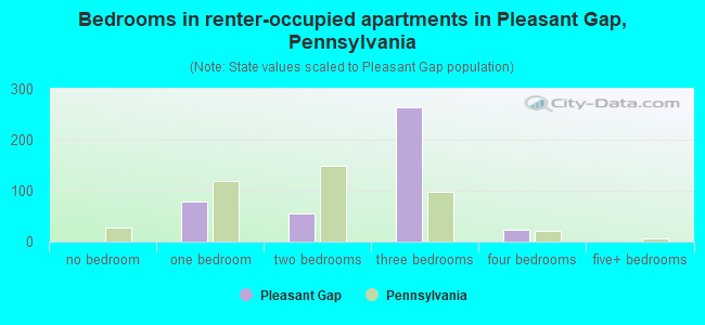 Bedrooms in renter-occupied apartments in Pleasant Gap, Pennsylvania