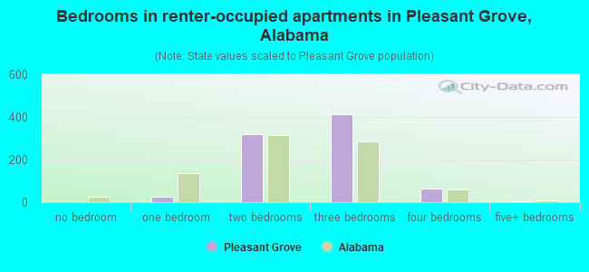 Bedrooms in renter-occupied apartments in Pleasant Grove, Alabama