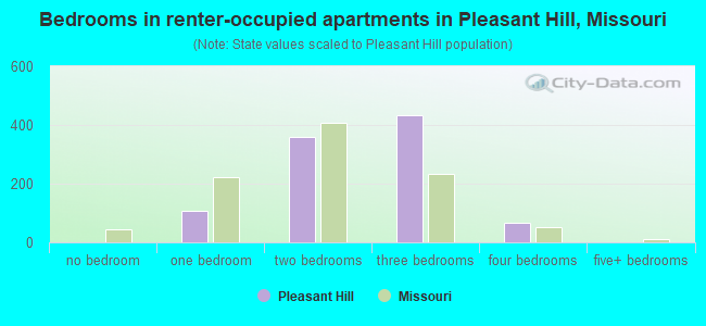 Bedrooms in renter-occupied apartments in Pleasant Hill, Missouri