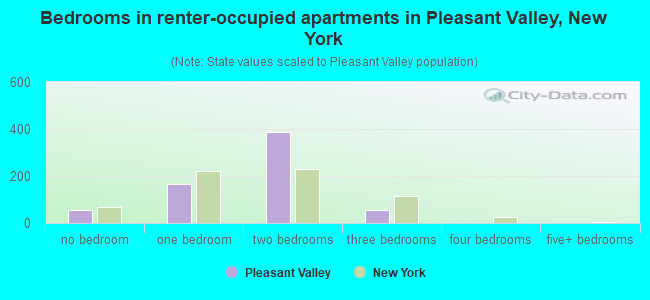 Bedrooms in renter-occupied apartments in Pleasant Valley, New York