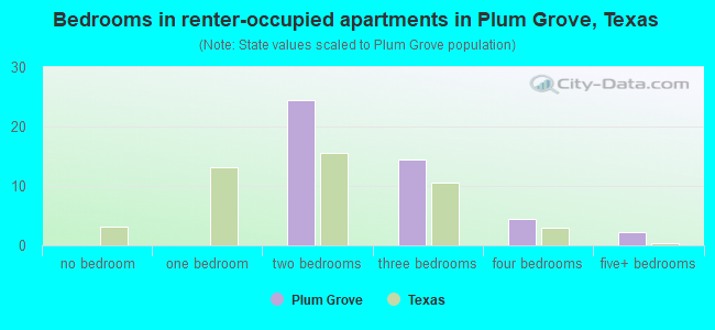 Bedrooms in renter-occupied apartments in Plum Grove, Texas