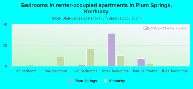 Bedrooms in renter-occupied apartments in Plum Springs, Kentucky