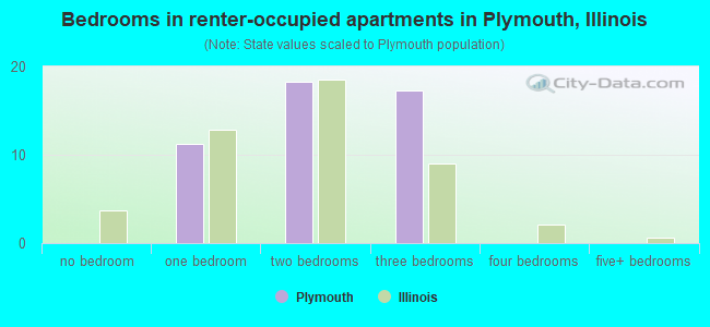 Bedrooms in renter-occupied apartments in Plymouth, Illinois