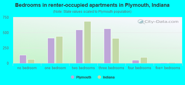 Bedrooms in renter-occupied apartments in Plymouth, Indiana