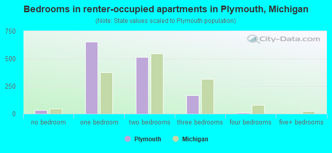 Bedrooms in renter-occupied apartments in Plymouth, Michigan