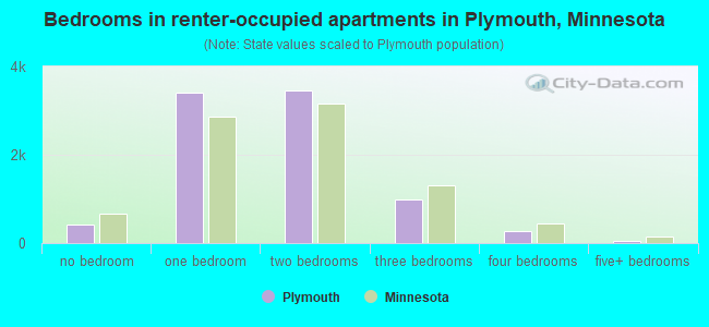 Bedrooms in renter-occupied apartments in Plymouth, Minnesota