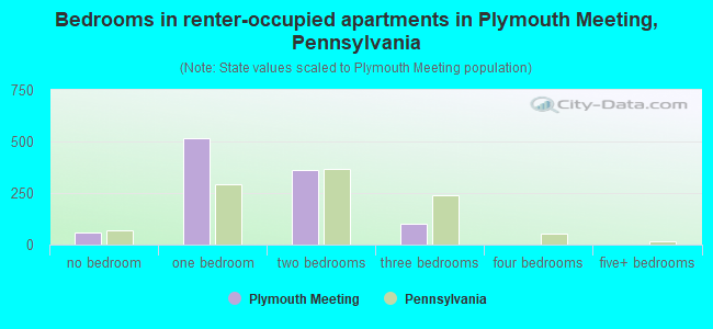 Bedrooms in renter-occupied apartments in Plymouth Meeting, Pennsylvania