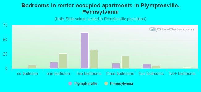 Bedrooms in renter-occupied apartments in Plymptonville, Pennsylvania