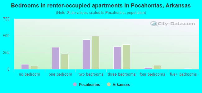 Bedrooms in renter-occupied apartments in Pocahontas, Arkansas