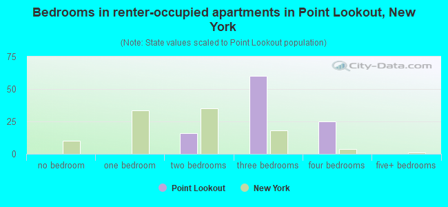 Bedrooms in renter-occupied apartments in Point Lookout, New York