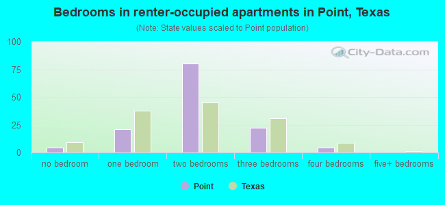 Bedrooms in renter-occupied apartments in Point, Texas