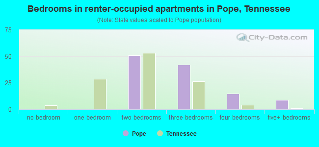 Bedrooms in renter-occupied apartments in Pope, Tennessee