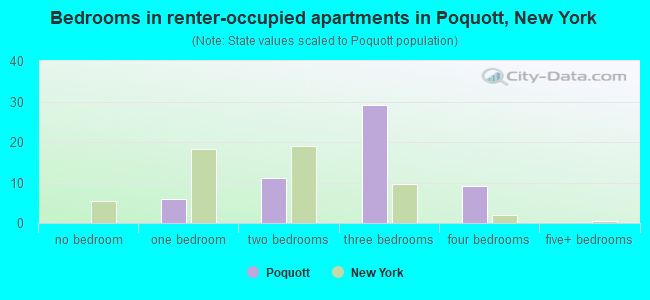 Bedrooms in renter-occupied apartments in Poquott, New York