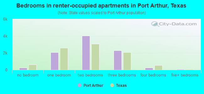 Bedrooms in renter-occupied apartments in Port Arthur, Texas