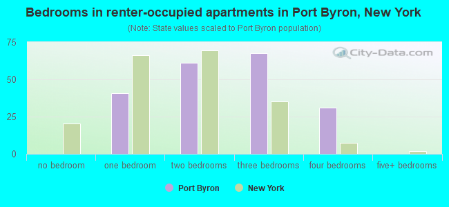 Bedrooms in renter-occupied apartments in Port Byron, New York