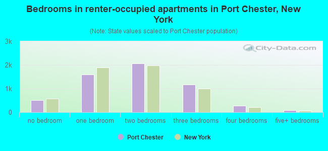Bedrooms in renter-occupied apartments in Port Chester, New York