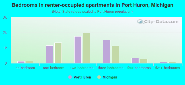 Bedrooms in renter-occupied apartments in Port Huron, Michigan