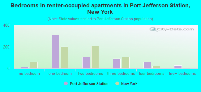 Bedrooms in renter-occupied apartments in Port Jefferson Station, New York