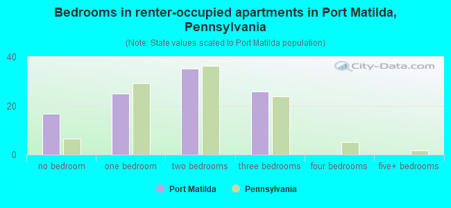 Bedrooms in renter-occupied apartments in Port Matilda, Pennsylvania