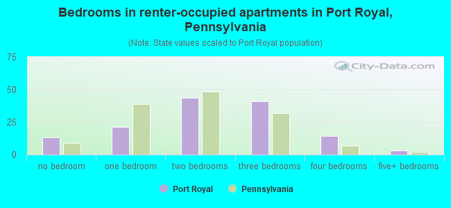 Bedrooms in renter-occupied apartments in Port Royal, Pennsylvania