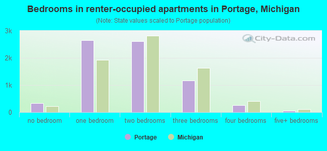 Bedrooms in renter-occupied apartments in Portage, Michigan