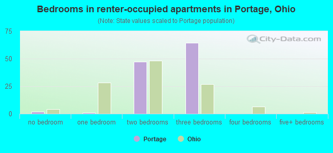 Bedrooms in renter-occupied apartments in Portage, Ohio