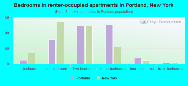 Bedrooms in renter-occupied apartments in Portland, New York