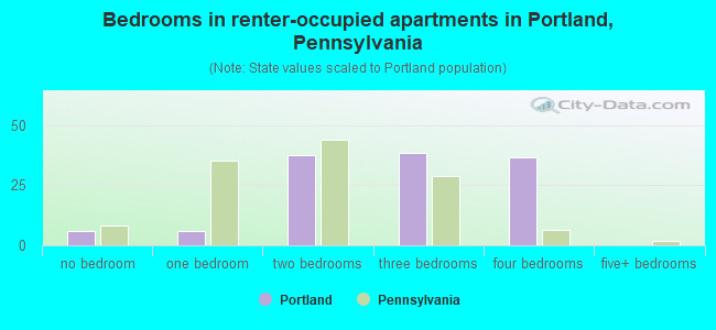 Bedrooms in renter-occupied apartments in Portland, Pennsylvania