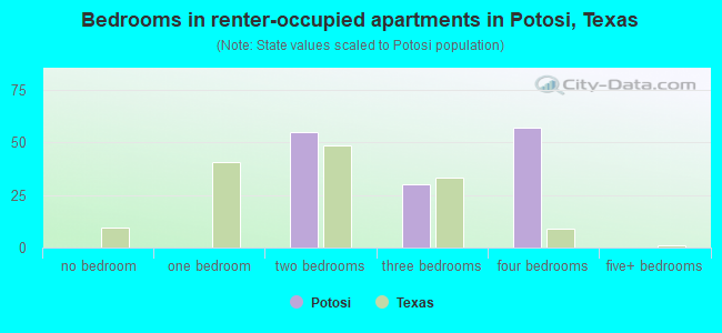 Bedrooms in renter-occupied apartments in Potosi, Texas