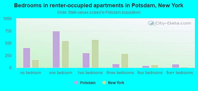 Bedrooms in renter-occupied apartments in Potsdam, New York