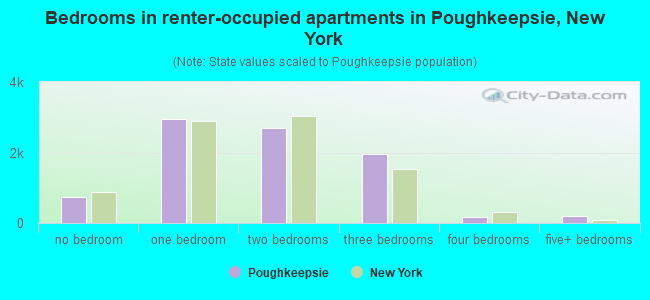 Bedrooms in renter-occupied apartments in Poughkeepsie, New York