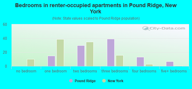 Bedrooms in renter-occupied apartments in Pound Ridge, New York