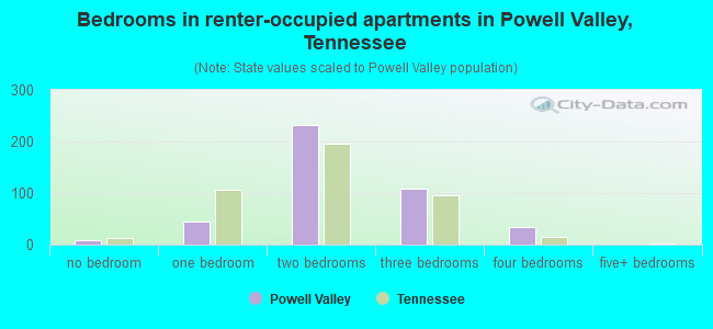 Bedrooms in renter-occupied apartments in Powell Valley, Tennessee