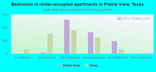 Bedrooms in renter-occupied apartments in Prairie View, Texas