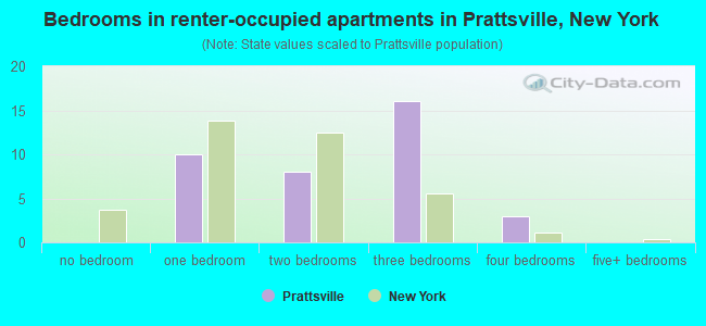 Bedrooms in renter-occupied apartments in Prattsville, New York