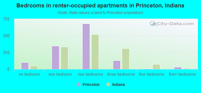 Bedrooms in renter-occupied apartments in Princeton, Indiana