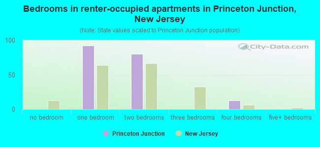 Bedrooms in renter-occupied apartments in Princeton Junction, New Jersey