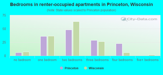 Bedrooms in renter-occupied apartments in Princeton, Wisconsin