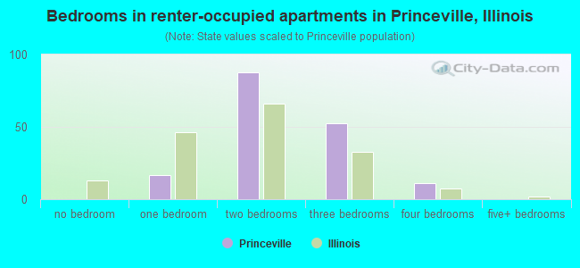 Bedrooms in renter-occupied apartments in Princeville, Illinois