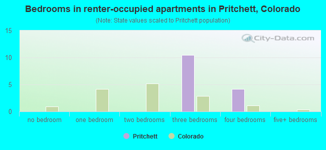 Bedrooms in renter-occupied apartments in Pritchett, Colorado