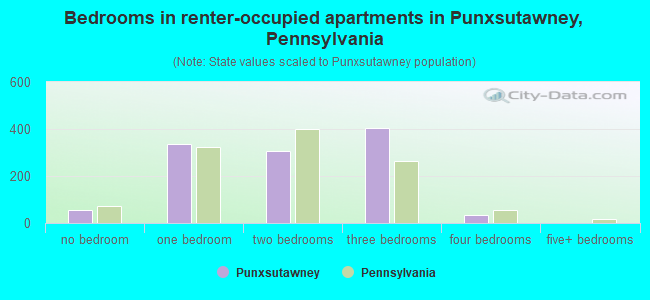 Bedrooms in renter-occupied apartments in Punxsutawney, Pennsylvania