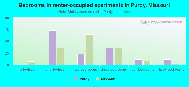 Bedrooms in renter-occupied apartments in Purdy, Missouri
